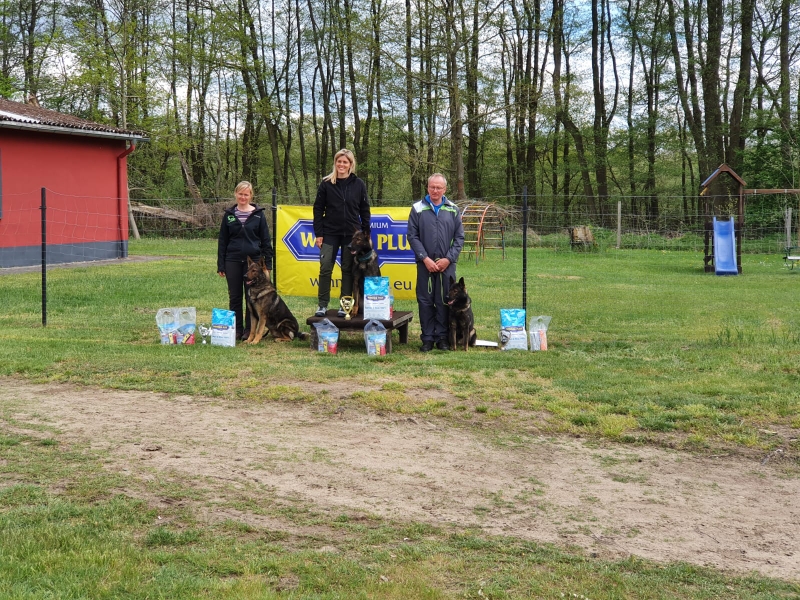 Landesgruppen FCI Sichtung in Torgau, 3 Personen auf Treppchen mit Hund daneben